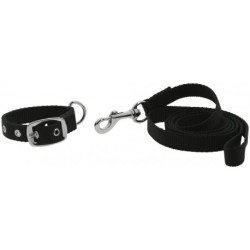 Collier et laisse pour chien RIDING WORLD - Oscar