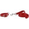 Collier et laisse pour chien RIDING WORLD - Oscar