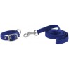 Collier et laisse pour chien RIDING WORLD - Oscar