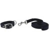 Collier et laisse pour chien RIDING WORLD - Oscar