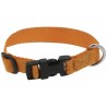 Collier pour chien RIDING WORLD - Pat