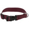 Collier pour chien RIDING WORLD - Pat