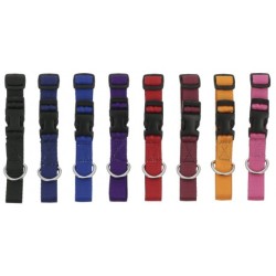 Collier pour chien RIDING WORLD - Pat