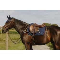 Collier de chasse NORTON - 5 points