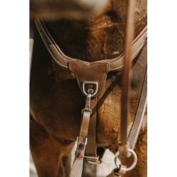 Collier de chasse NORTON - 5 points