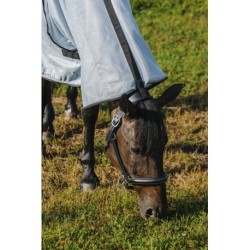 Chemise RIDING WORLD - Belly Mesh - Combo