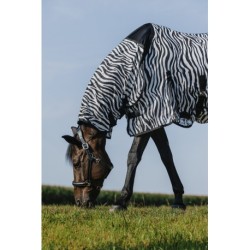 Chemise RIDING WORLD - Belly Mesh - Combo
