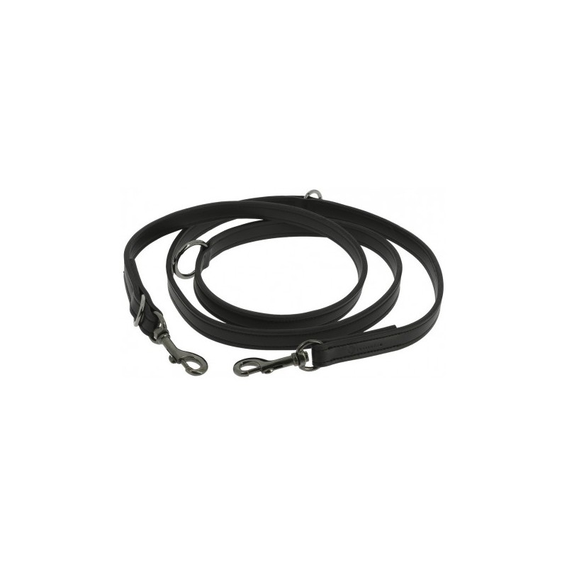 Laisse pour chien EQUITHÈME - Vortex