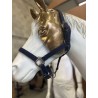 licol  bleu marine petit cob