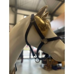 licol  bleu marine petit cob