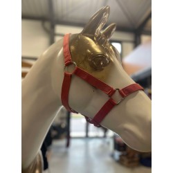 licol rouge delaver poney