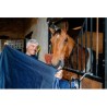 Couverture EQUITHÈME - Classic 1200D