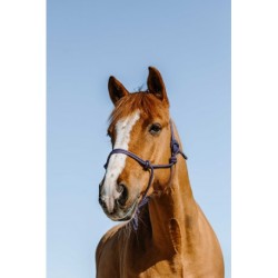 Licol éthologique NORTON - Glim