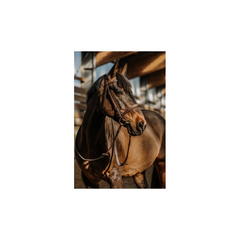 Bridon NORTON - Hunter comfy