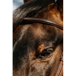 Bridon NORTON - Hunter comfy