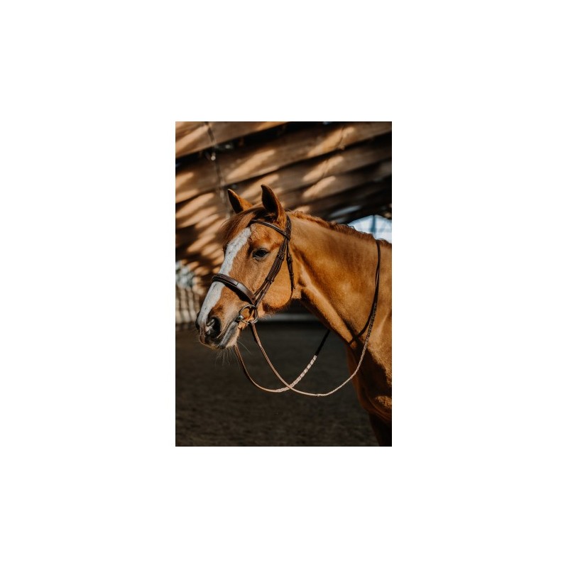 Bridon NORTON - Hunter - Fancy
