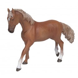 Jument pur-sang anglaise alezan PAPO