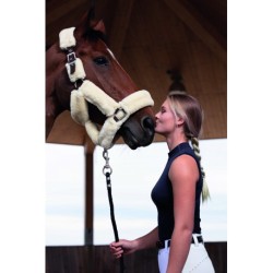 Licol EQUITHÈME "Teddy"
