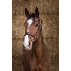Bridon NORTON PRO - Miss