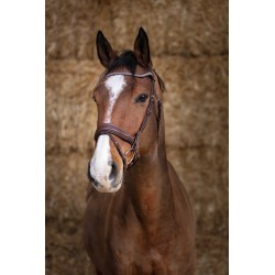 Bridon NORTON PRO - Miss