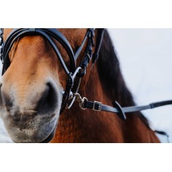 Rênes caoutchouc NORTON - TRAINING