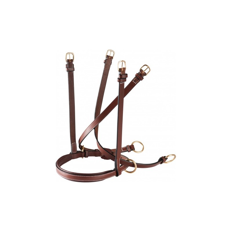 Muserolle bitless ERIC THOMAS PRO