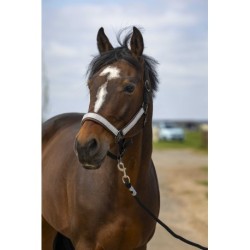 Licol EQUITHÈME - Nylon Check