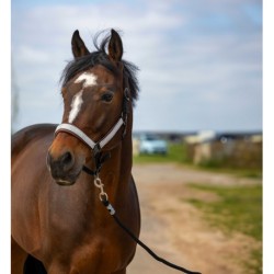 Licol EQUITHÈME - Nylon Check