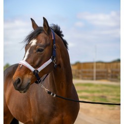 Licol EQUITHÈME - Nylon Check