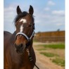 Licol EQUITHÈME - Nylon Check