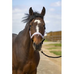 Licol EQUITHÈME - Nylon Check