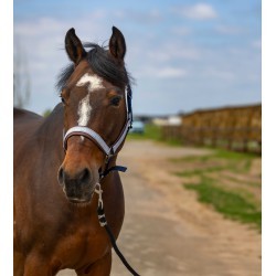 Licol EQUITHÈME - Nylon Check