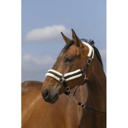 Licol EQUITHÈME - Nylon Mouton