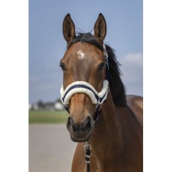 Licol EQUITHÈME - Nylon Mouton