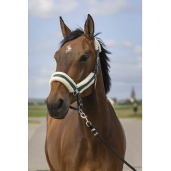 Licol EQUITHÈME - Nylon Mouton