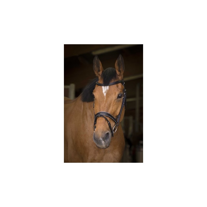 Bridon NORTON PRO - Rock