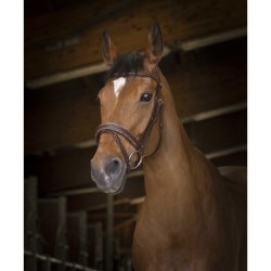 Bridon NORTON PRO - Rock