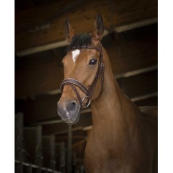 Bridon NORTON PRO - Rock