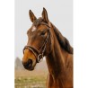 Bridon NORTON CLUB - Strass V