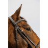 Bridon NORTON CLUB - Strass V