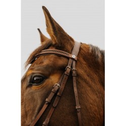 Bridon NORTON CLUB - Strass V