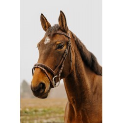 Bridon NORTON CLUB - Strass V