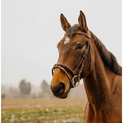 Bridon NORTON CLUB - Strass V