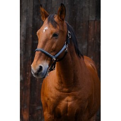 Licol nylon EQUITHEME - Domino