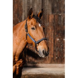 Licol nylon EQUITHEME - Domino