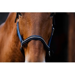Licol nylon EQUITHEME - Domino
