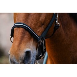 Licol nylon EQUITHEME - Domino