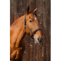 Licol nylon EQUITHEME - Domino