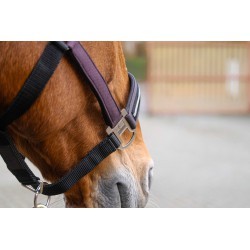 Licol nylon EQUITHEME - Domino