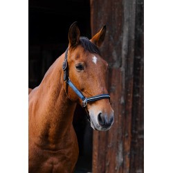 Licol nylon EQUITHEME - Domino